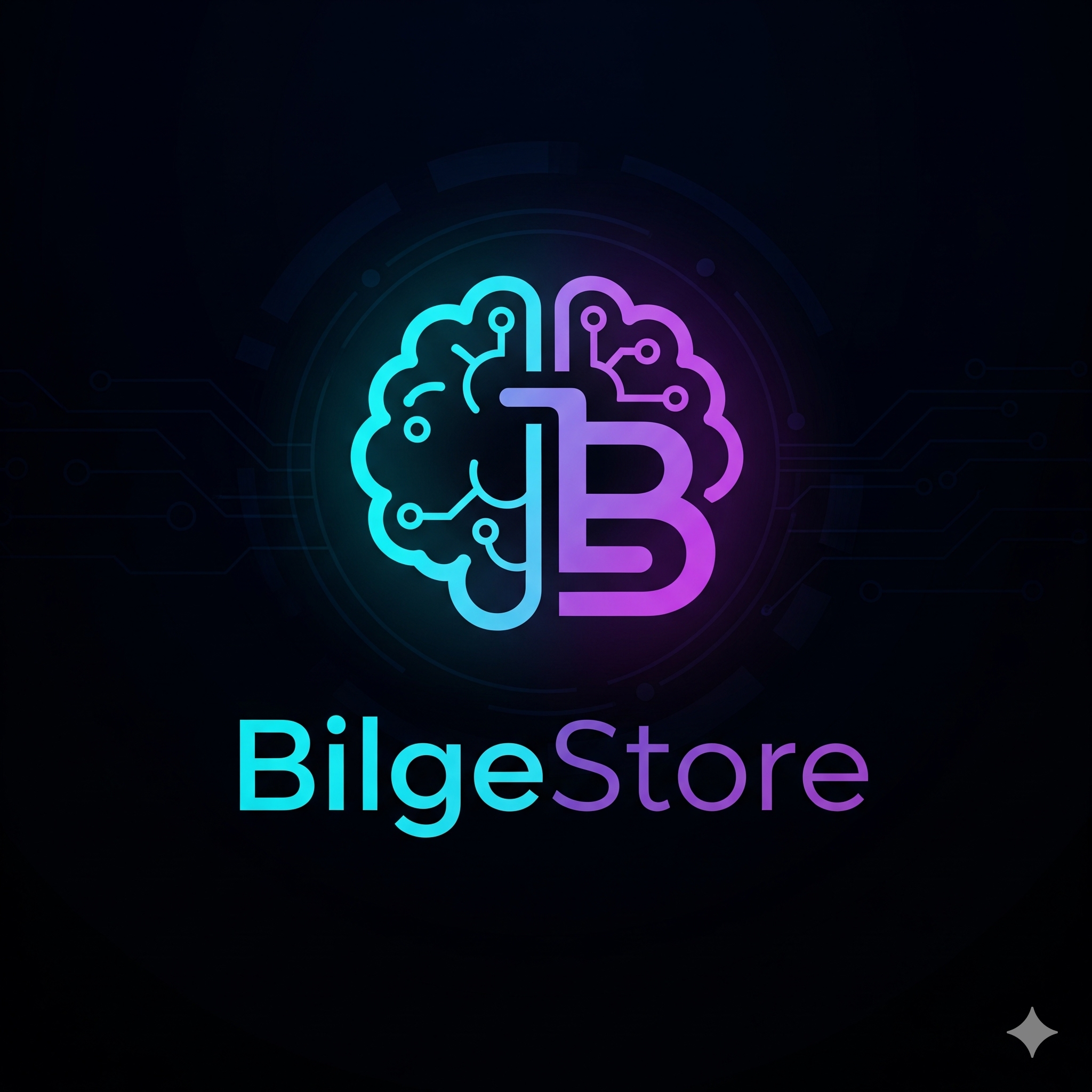 BilgeStore